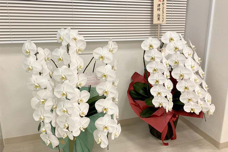 花1